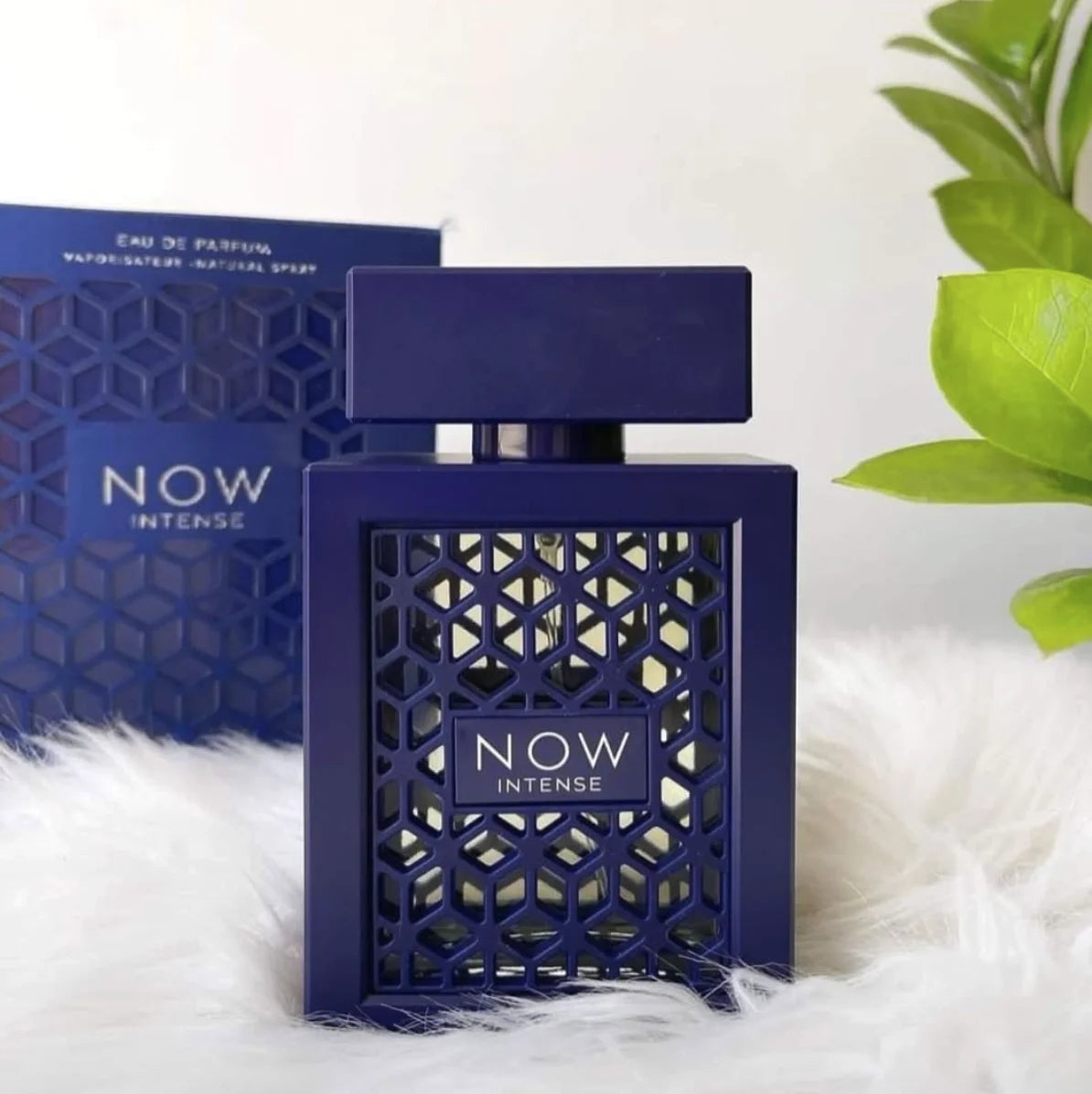 PERFUME NOW INTENSE 100ML – Lattafa